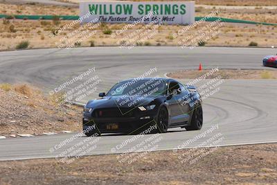 media/Oct-25-2025-West Coast Racing (Sat) [[9fdcbcd09c]]/Green group/Turn 3/